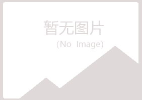 阳泉晓夏水泥有限公司